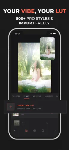 Professional 3D LUTs